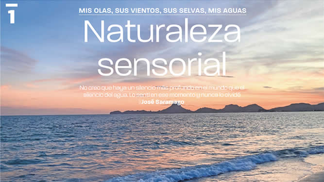 Ensayos-sobre-la-naturaleza-Universal-1.jpg