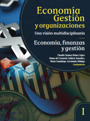 Economía gestión y organizaciones, una visión multidisciplinaria. Tomo 1.