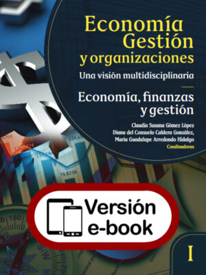 Economía gestión y organizaciones, una visión multidisciplinaria. 2 Tomos.