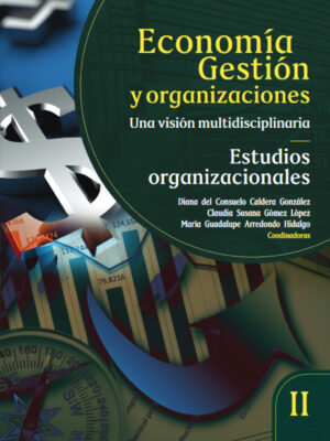 Economía gestión y organizaciones, una visión multidisciplinaria. Tomo 2