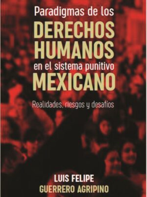 Paradigmas de los derechos humanos en el sistema punitivo mexicano