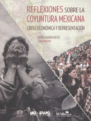 Reflexiones sobre la coyuntura mexicana. Crisis económica y representación.